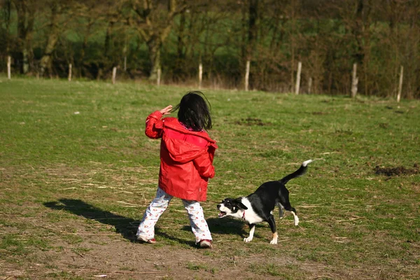 Süßes Mädchen und ihr Hund — Stockfoto