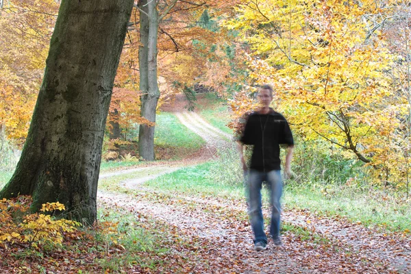 Человек, гуляющий в лесу — стоковое фото