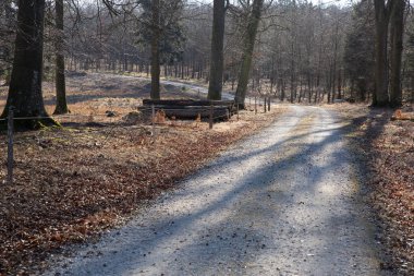 Gribskov, 2018 kışında Danimarka 'da