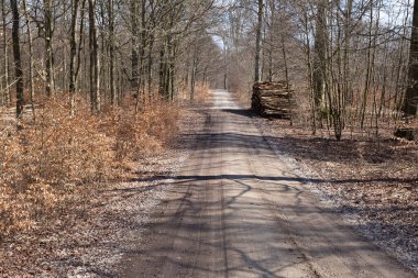 Gribskov, 2018 kışında Danimarka 'da