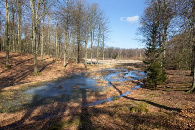 Gribskov, 2018 kışında Danimarka 'da