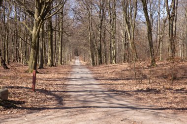 Gribskov, 2018 kışında Danimarka 'da