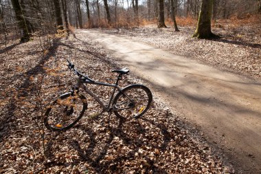 Gribskov, 2018 kışında Danimarka 'da