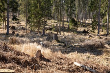 Gribskov, 2018 kışında Danimarka 'da
