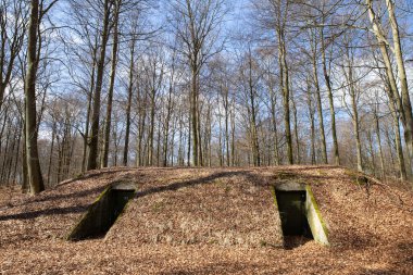 Gribskov, 2018 kışında Danimarka 'da