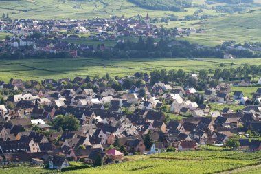 Sigolsheim - Kientzheim - Kaysersberg 'deki Alsace - Fransa Sigolsheim' deki Alsace 'deki Necropolis, Dünya Savaşı askeri mezarlığını oluşturan alsacian üzüm bağının manzarası.