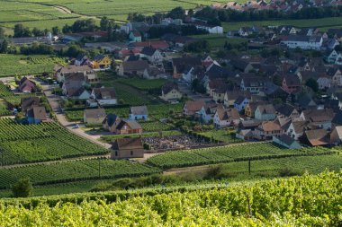 Sigolsheim - Kientzheim - Kaysersberg 'deki Alsace - Fransa Sigolsheim' deki Alsace 'deki Necropolis, Dünya Savaşı askeri mezarlığını oluşturan alsacian üzüm bağının manzarası.