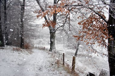 Danimarka 'da kış mevsiminde çekilen kar manzarası