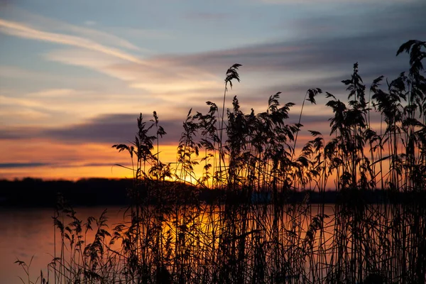 Widok Piękne Jezioro Denmark Skandynawii Północ Kopenhagi — Zdjęcie stockowe