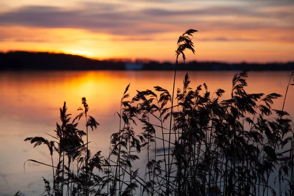 Blick Auf Einen Schönen See Dänischen Skandinavien Nördlich Von Kopenhagen — Stockfoto