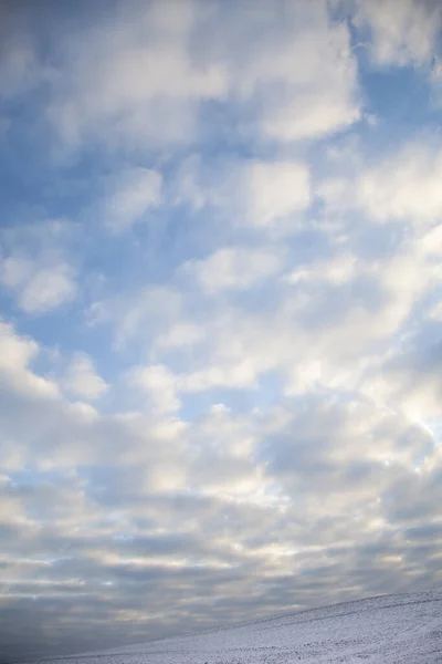 Ciel Nuageux Sur Champ Enneigé Danemark Zélande 2013 — Photo