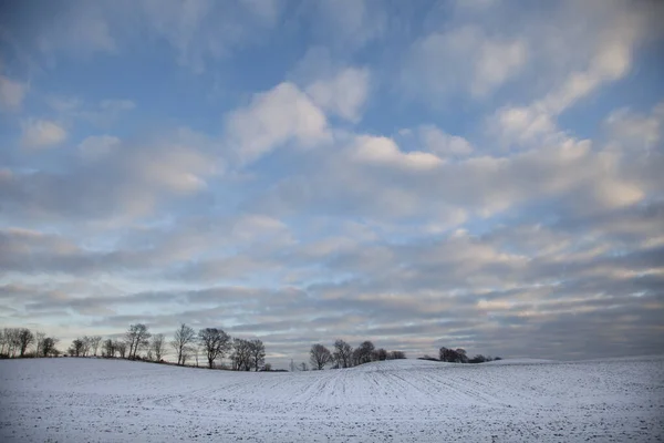 Ciel Nuageux Sur Champ Enneigé Danemark Zélande 2013 — Photo