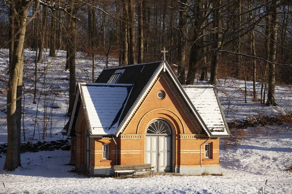 Rudeskov Forest Denmark Winter 2013 — Stock Photo, Image