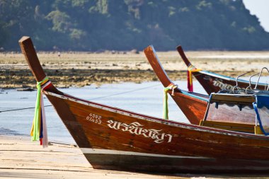 Tayland adasındaki Kosta Rika 'da uzun kuyruk botu detayı
