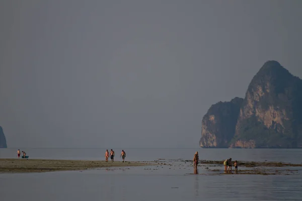 Playa Tailandia Verano Buscando Concha Marina — Foto de Stock