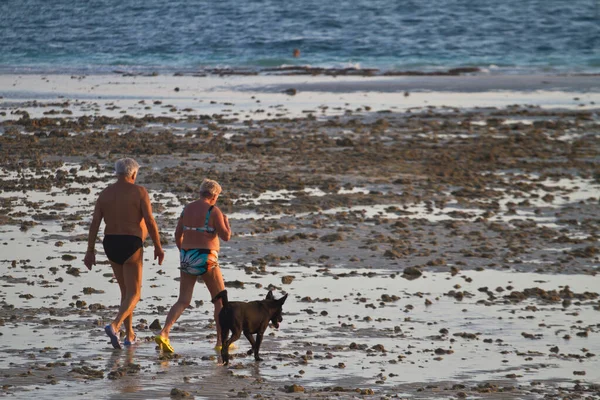 Chien Plage Krabi Thaïlande Wityh Couple Touristes — Photo