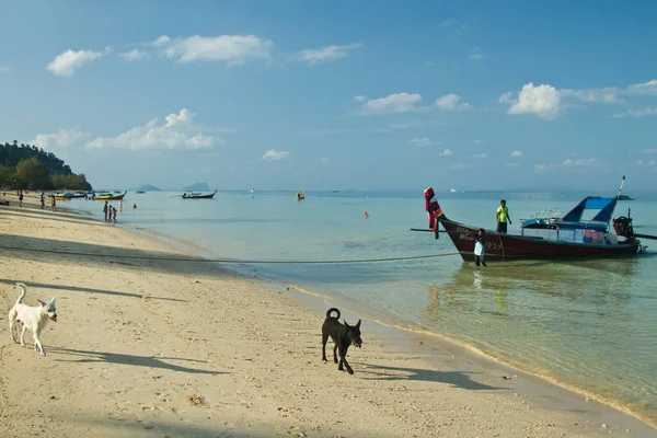 Lange Staart Boot Wachten Klant Thailand — Stockfoto