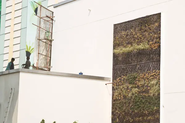 Vistas Centro Comercial Tailandia Con Una Pared Decorativa Plantas — Foto de Stock