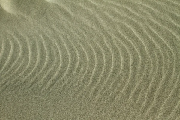 Dune in spiaggia — Foto Stock