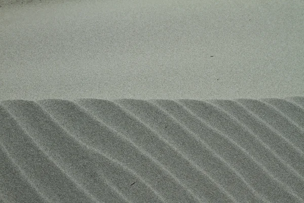 Dune in spiaggia — Foto Stock