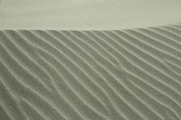 Sanddyner på stranden — Stockfoto