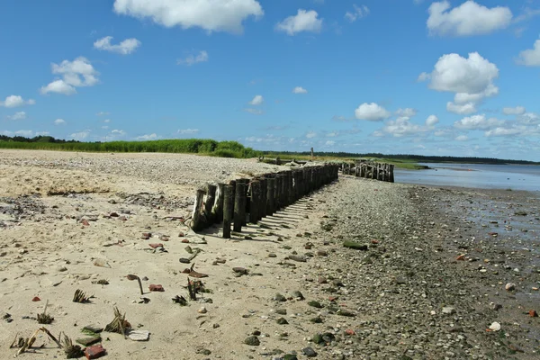 Op het strand — Stockfoto