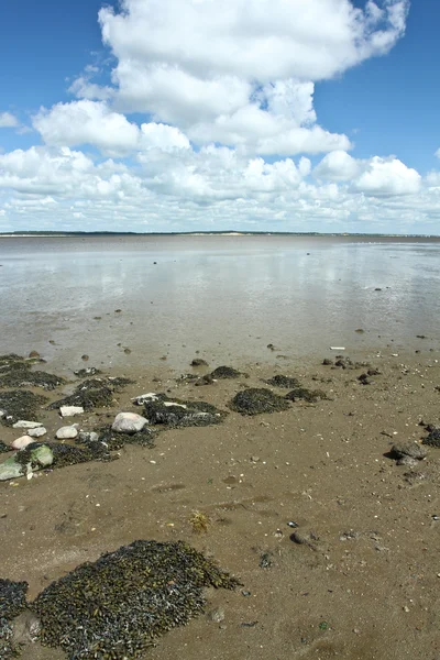 Op het strand — Stockfoto