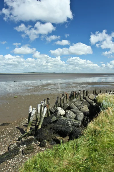 À la plage — Photo