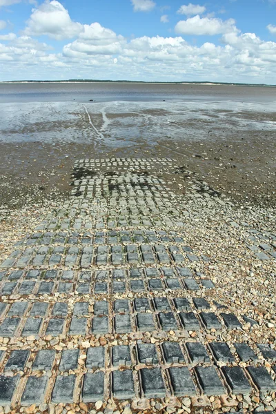 På stranden — Stockfoto