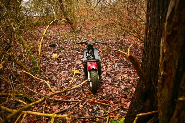 Motorbike in a forest — Stock Photo, Image