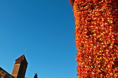 tuğla ev kırmızı yaprakları ile