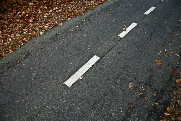 Road for bikes in a forest — Stock Photo, Image