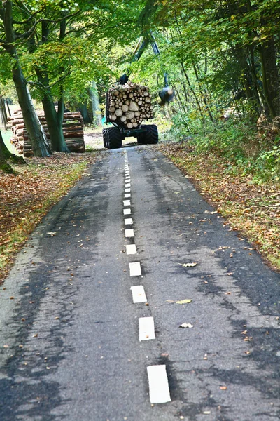 Camino en un bosque — Foto de Stock