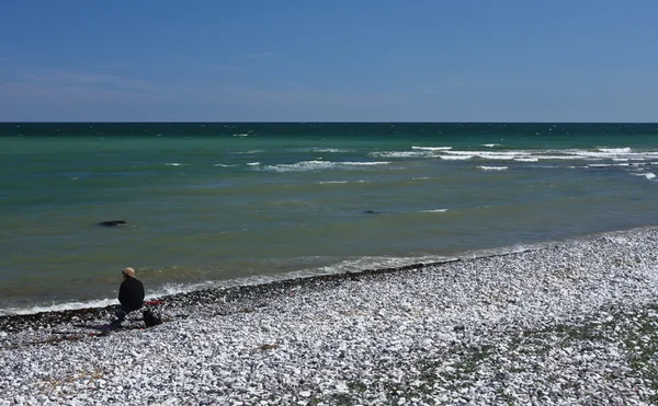 Sangstrup klint v Dánsku — Stock fotografie