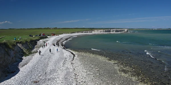 Sangstrup klint w Danii — Zdjęcie stockowe