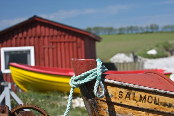 Sangstrup klint in Dänemark — Stockfoto