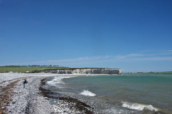 Sangstrup klint w Danii — Zdjęcie stockowe