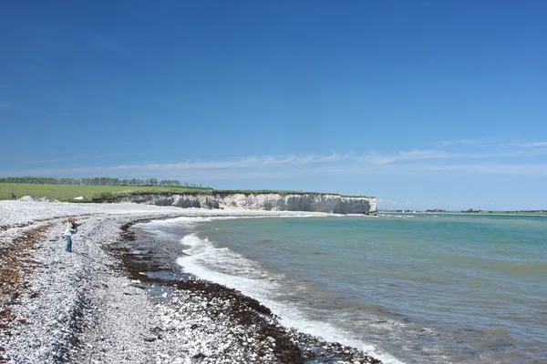 Sangstrup Klint na Dinamarca — Fotografia de Stock