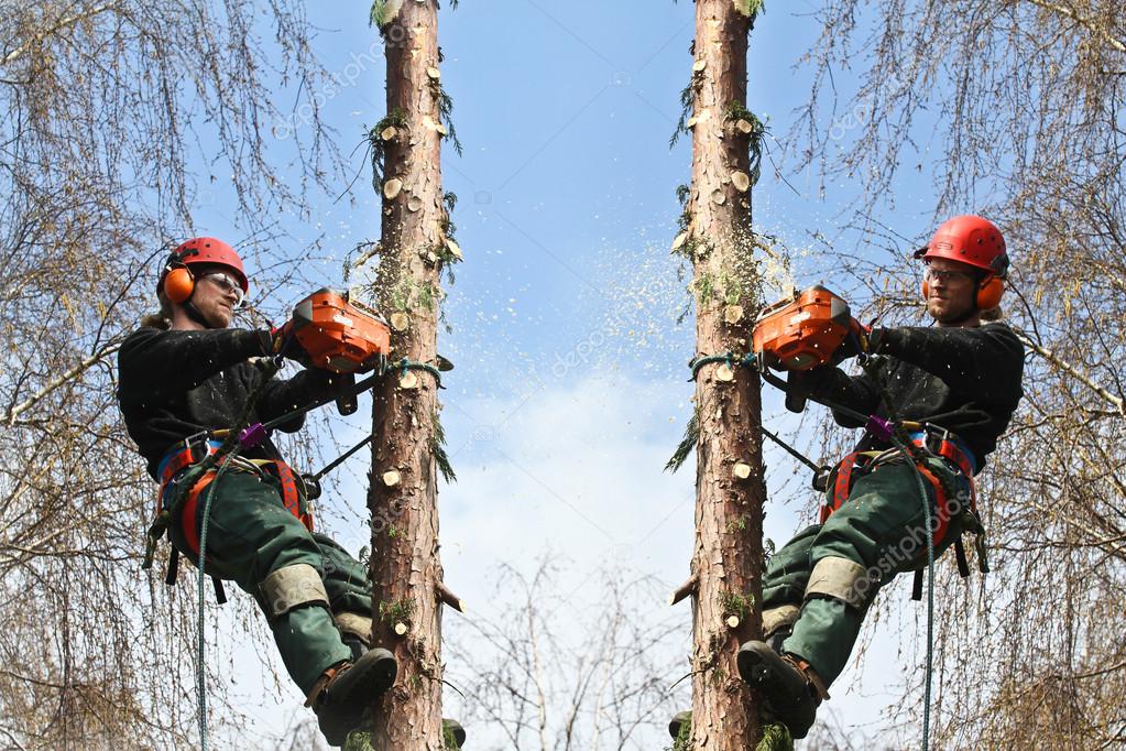 Woodcutters in action in forest — Stock Photo © jeancliclac 54599891