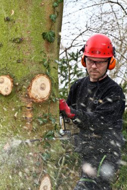 Ormandaki chainsaw ile oduncu