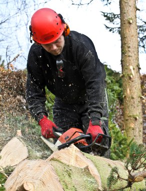 Ormandaki chainsaw ile oduncu