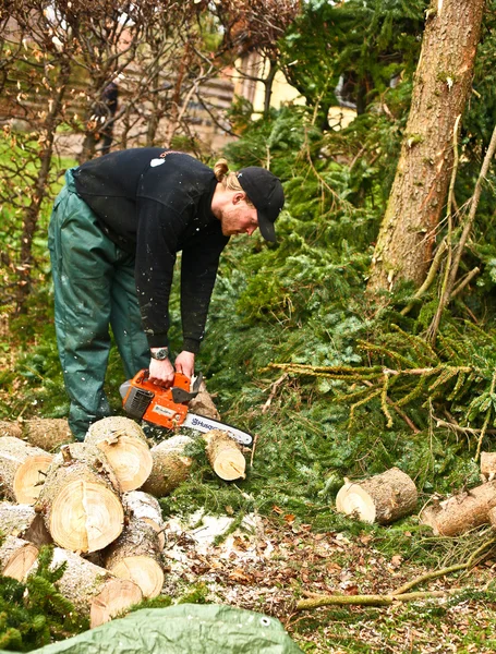 Woodcutter with chainsaw in action — Stock fotografie
