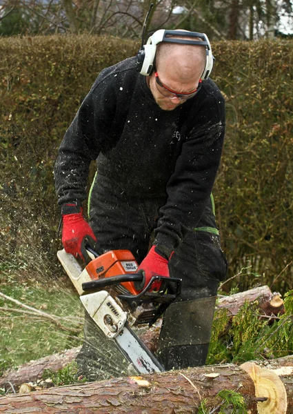 Ormandaki chainsaw ile oduncu