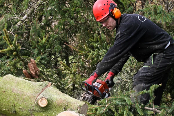 Taglialegna con motosega nella foresta — Foto Stock