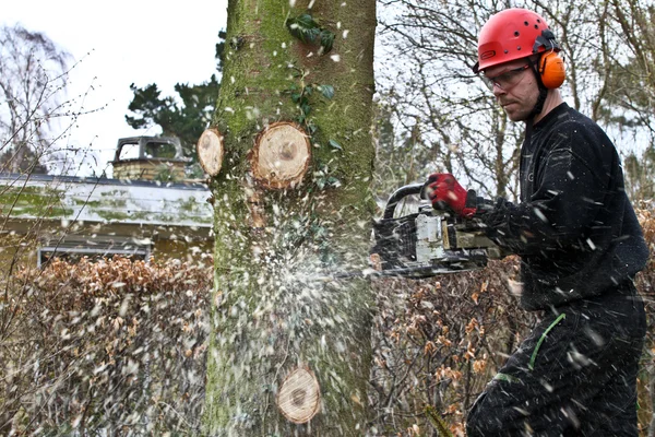 Woodcutter with chainsaw in forest — Stockfoto