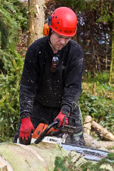 Woodcutter with chainsaw in forest — Stock fotografie