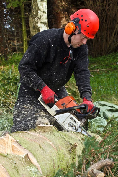 Woodcutter with chainsaw in forest — Φωτογραφία Αρχείου