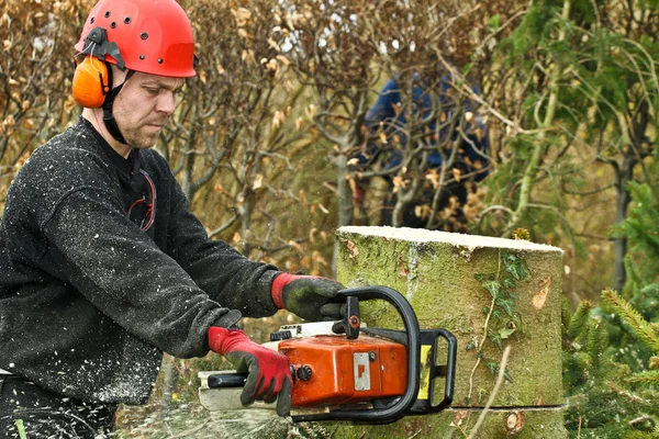 Woodcutter with chainsaw in forest — Stockfoto