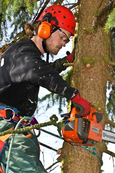 Man with woodcutter in action — Stock fotografie