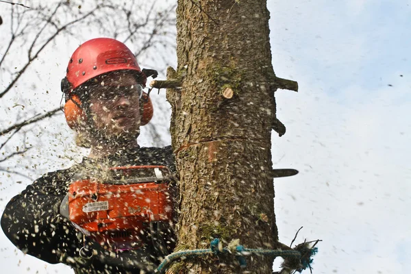 Man with woodcutter in action — Stock Photo, Image
